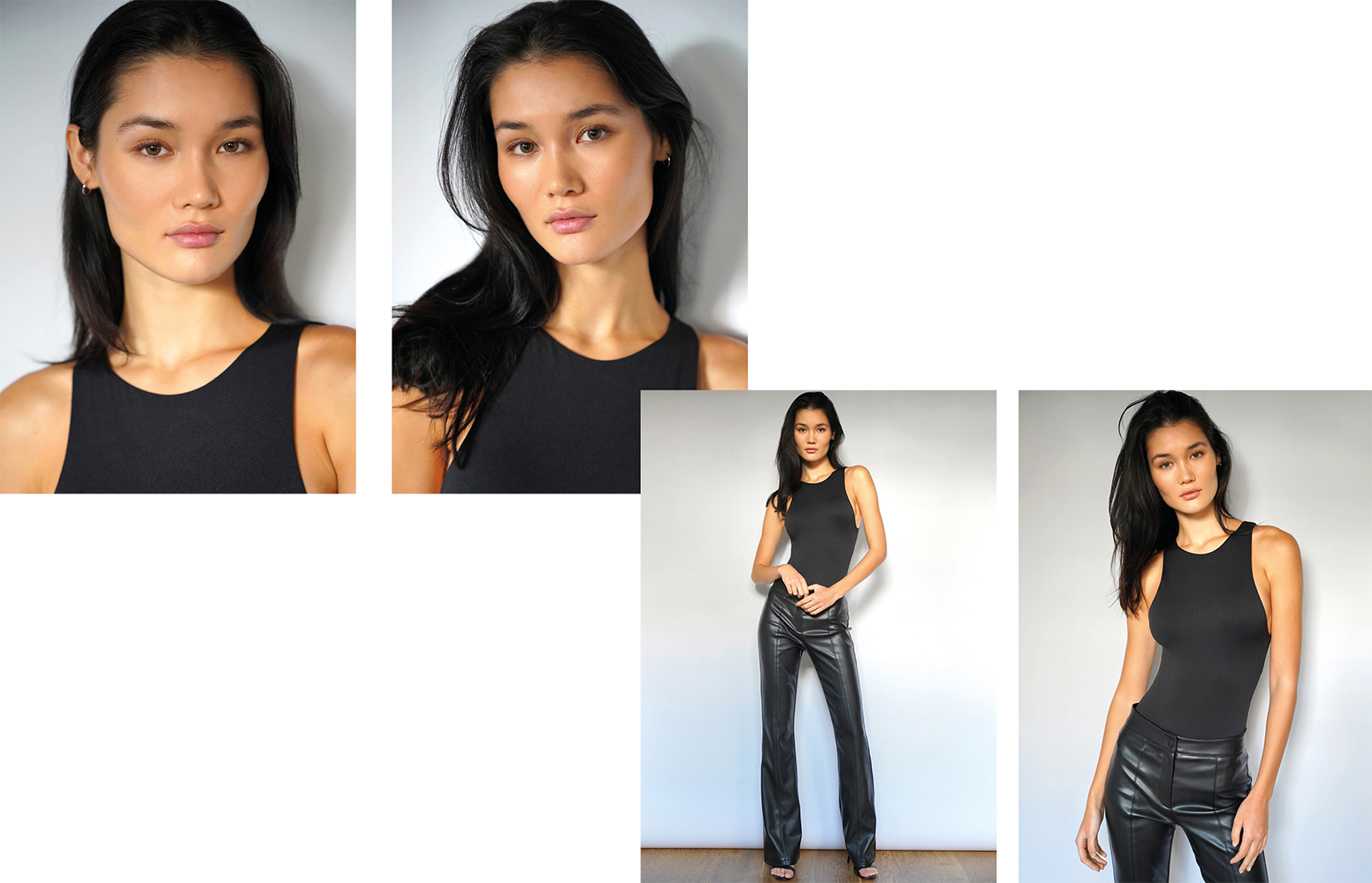 Established Models a model